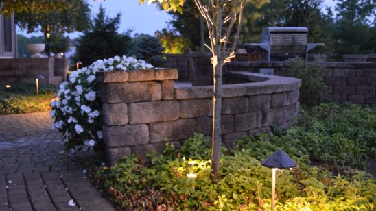 Outdoor lighting illuminating tree inside a garden