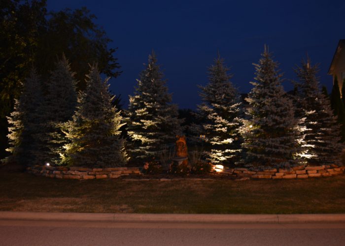 Large trees with landscape lighting